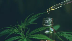 CBD und Hanföl