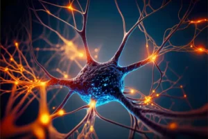 CBD-Öl zur Unterstützung bei neurologischen Erkrankungen