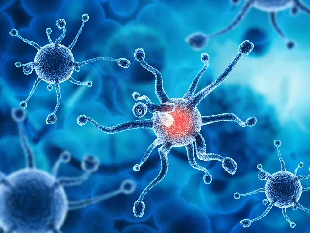Du betrachtest gerade Multiple Sklerose und Cannabinoide: Sativex und CBD-Öl im Vergleich